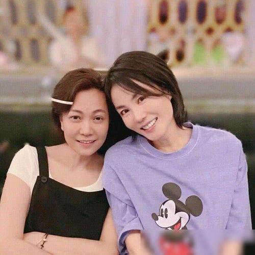 王菲女儿爆料事件视频在线观看,独家视角直击幕后真相